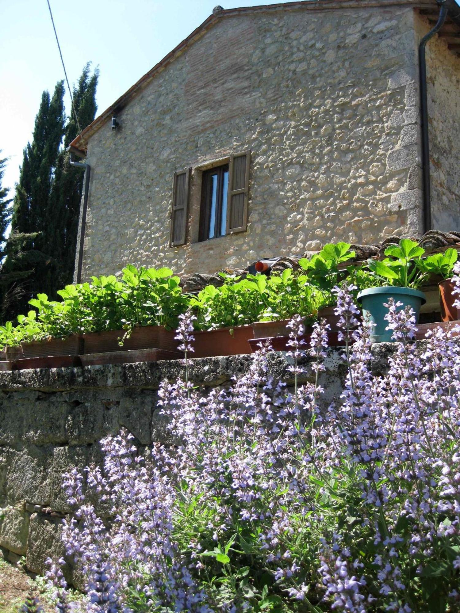 Agriturismo Il Caio Cetona Kültér fotó
