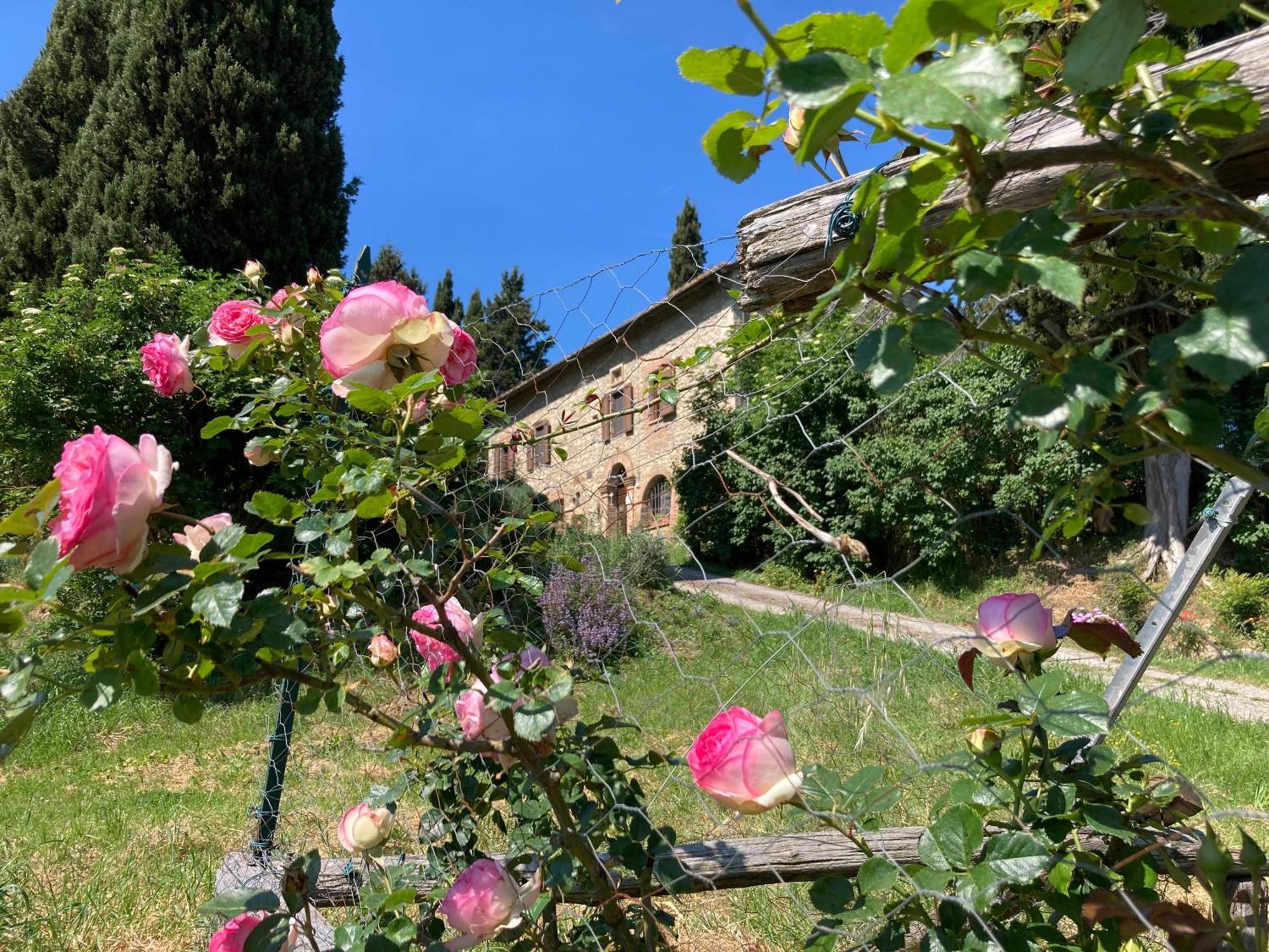 Agriturismo Il Caio Cetona Kültér fotó