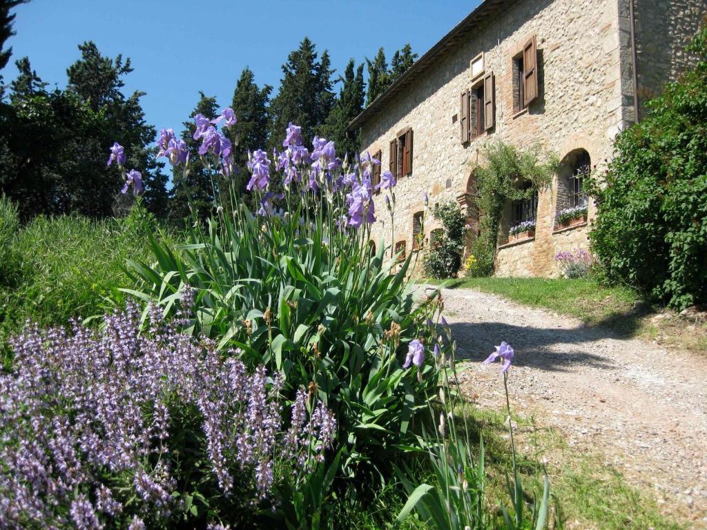 Agriturismo Il Caio Cetona Kültér fotó