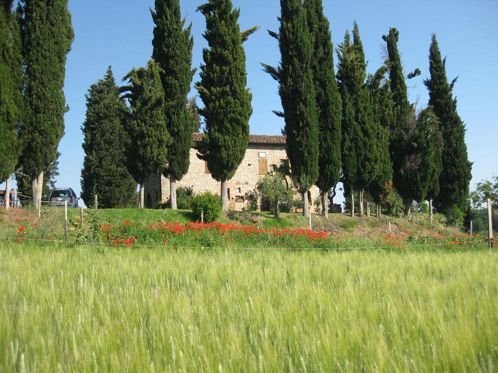 Agriturismo Il Caio Cetona Kültér fotó